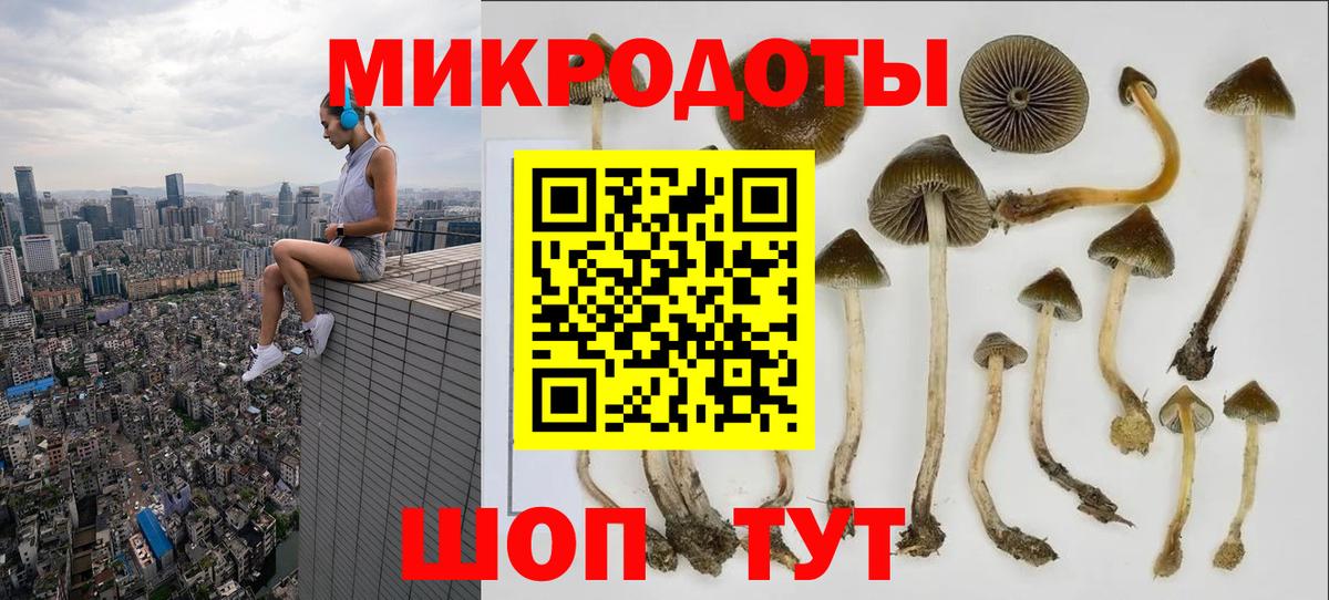 Электросталь  Галлюциногенные грибы мицелий  Галлюциногенные грибы мицелий  Вход с VPN 